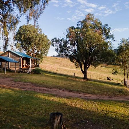 Gaddleen Grove Cottages Уодонга Экстерьер фото