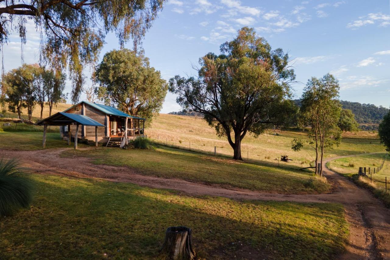 Gaddleen Grove Cottages Уодонга Экстерьер фото